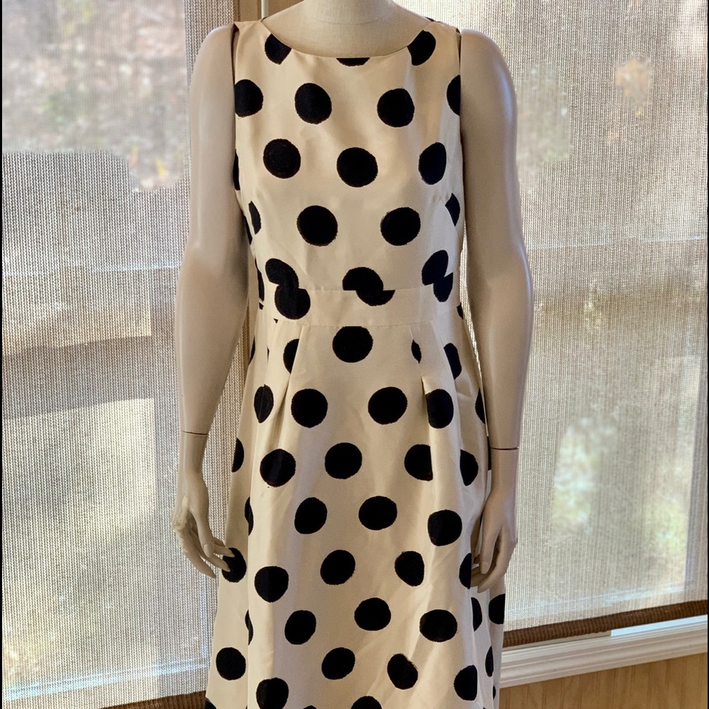Banana Republic Polka Dot Silk Dress